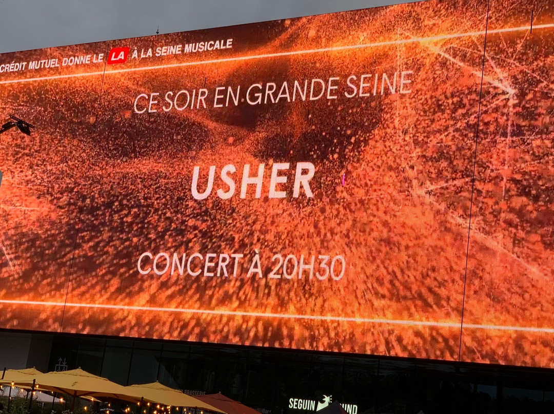 La Seine Musicale景点图片