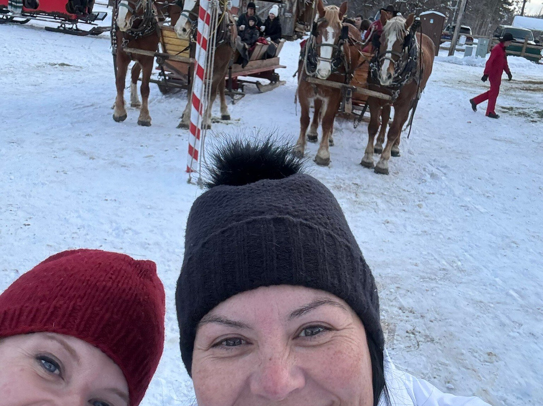 Bears Ranch-杜兰戈必去景点