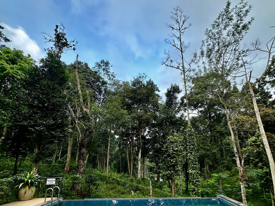 VANYA by Citrine主图