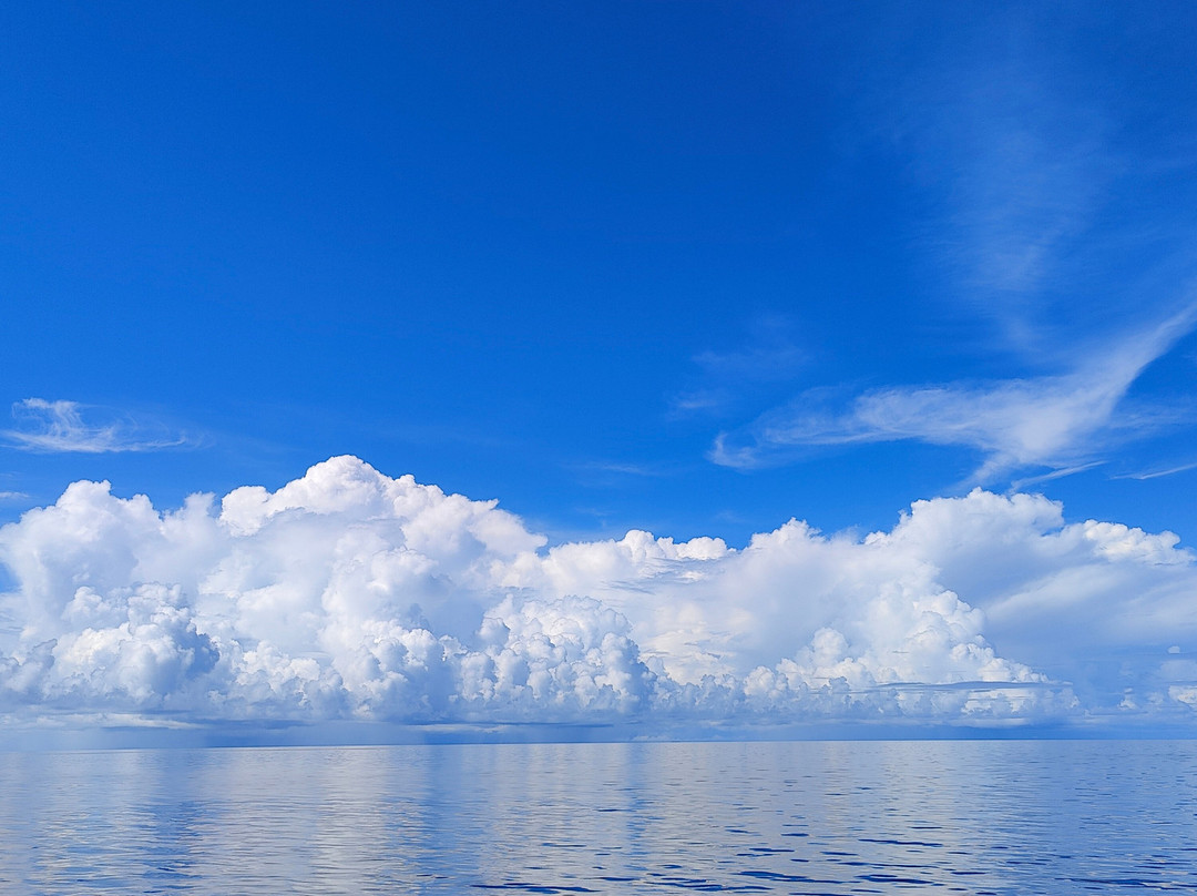 Diving Centers Werner Lau-曼德芙岛必去景点