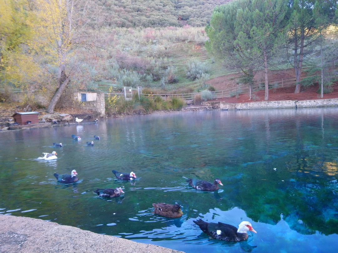 Nacimiento del Río Arbuniel景点图片