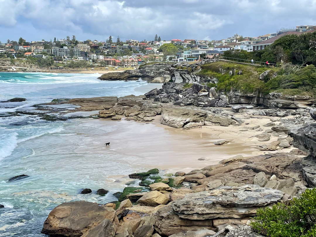 Mackenzies Bay-Tamarama必去景点