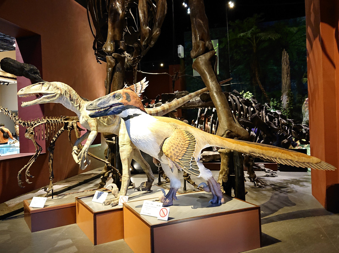 Museum Park Ibaraki Nature Museum-阪东市必去景点