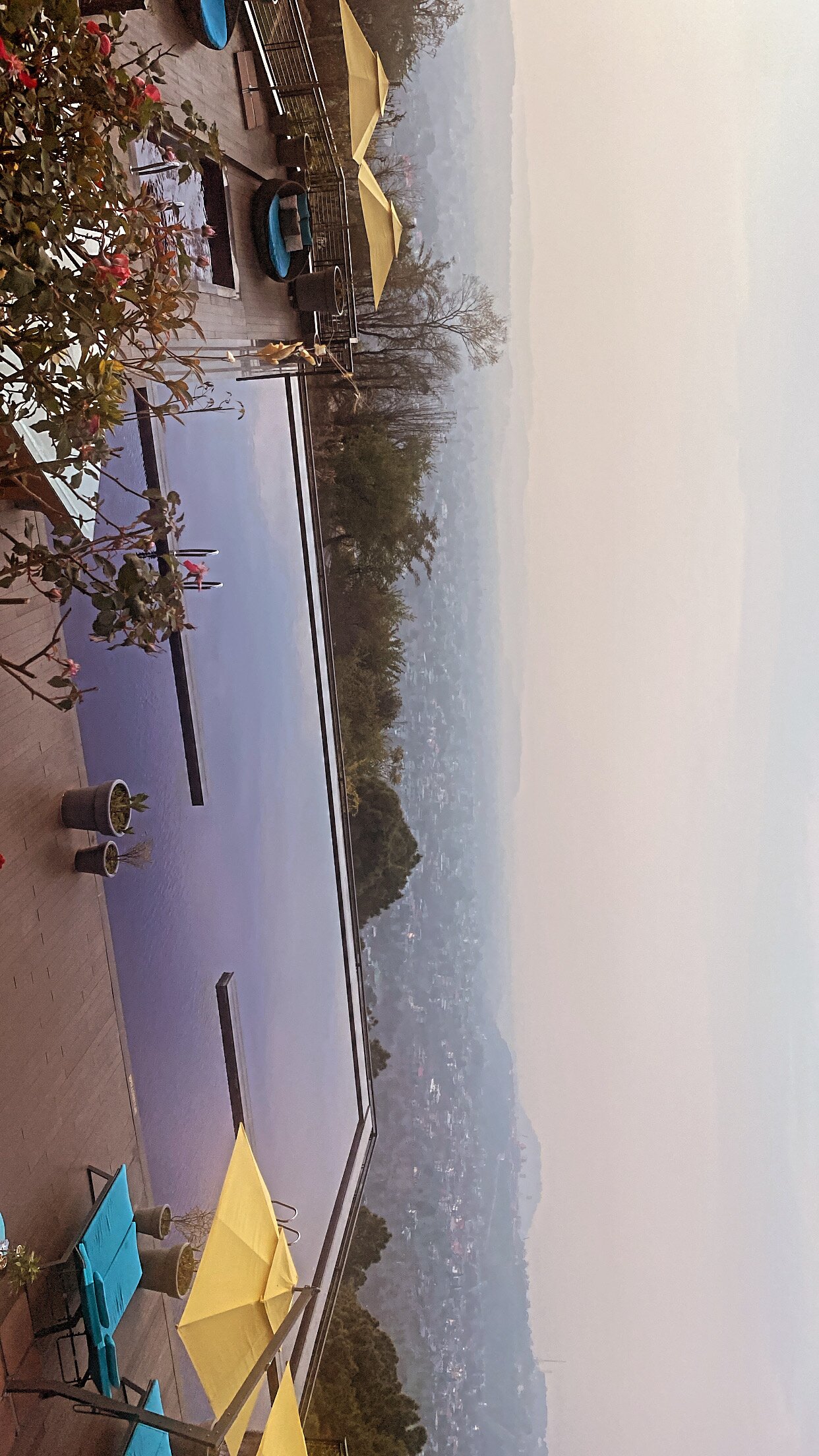 Radisson Blu Resort, Dharamshala-泳池