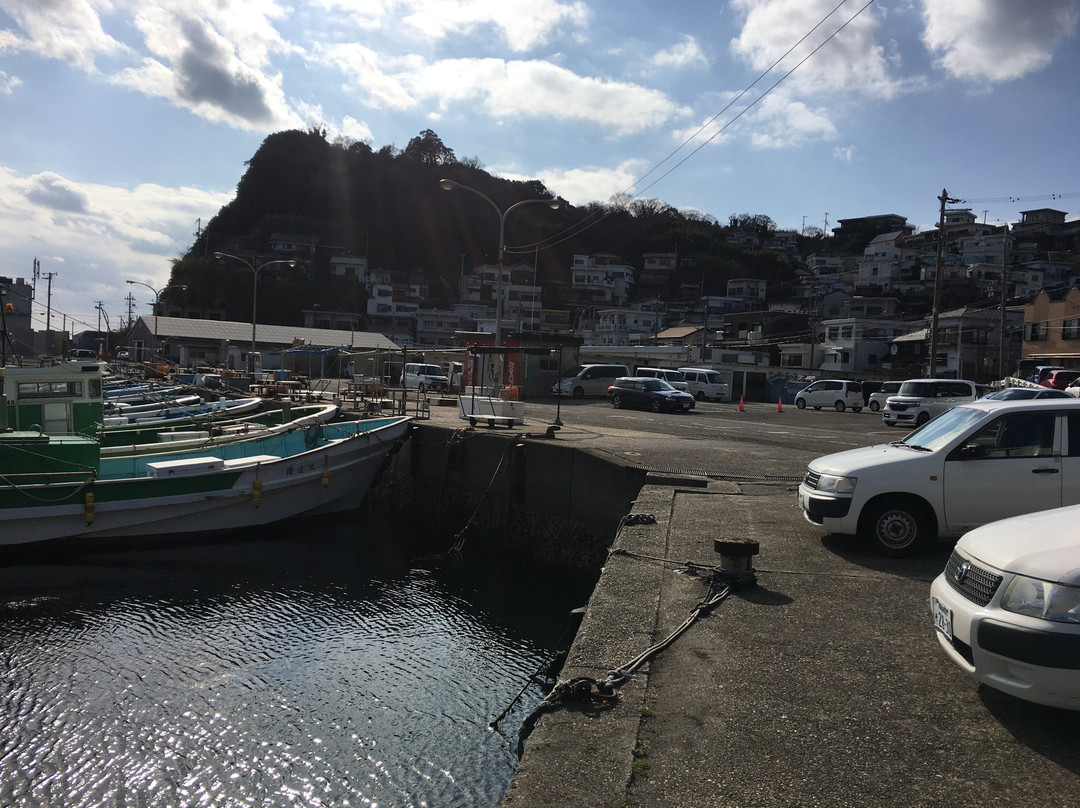 Cape Saikazaki景点图片