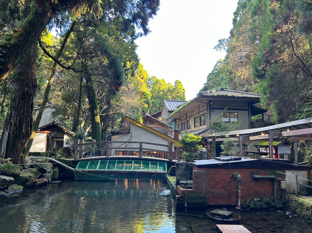 Kawakami Shrine景点图片