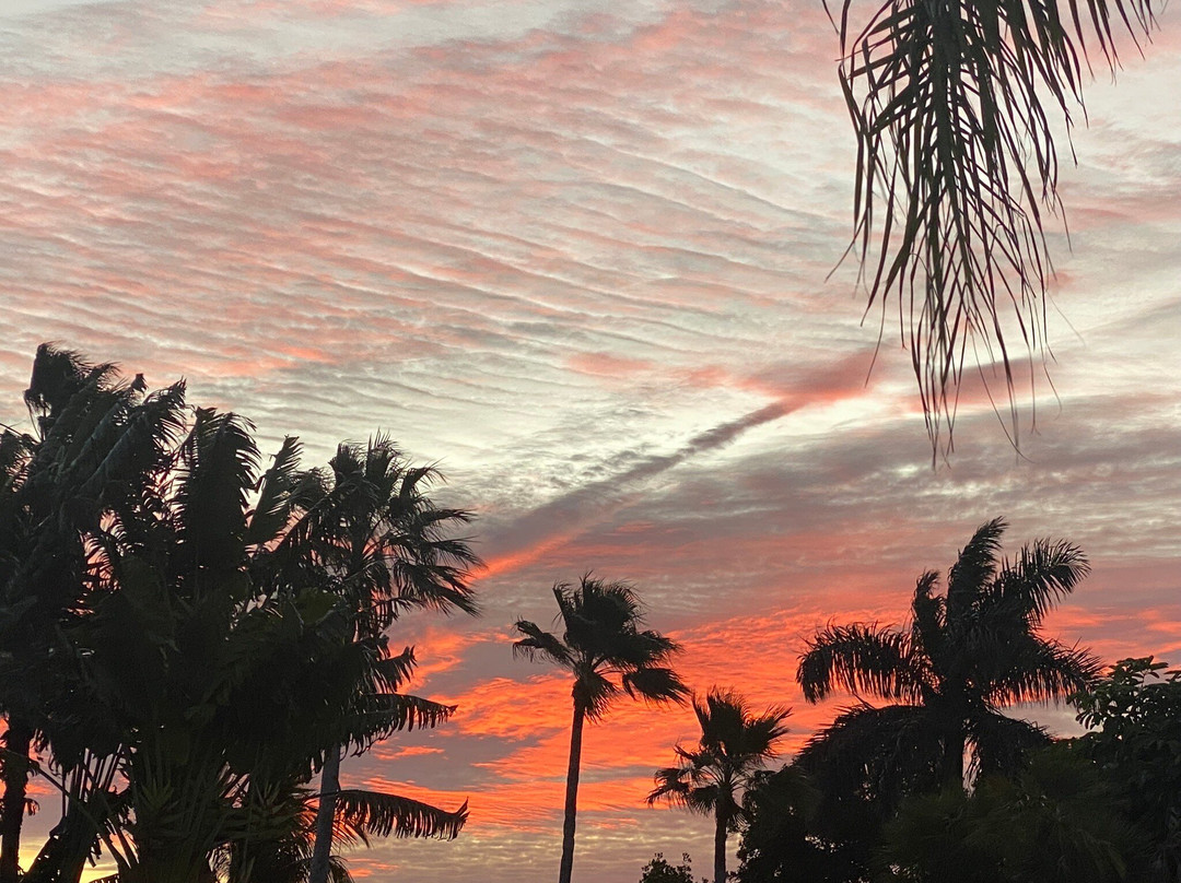 Tradewinds Beach Resort主图