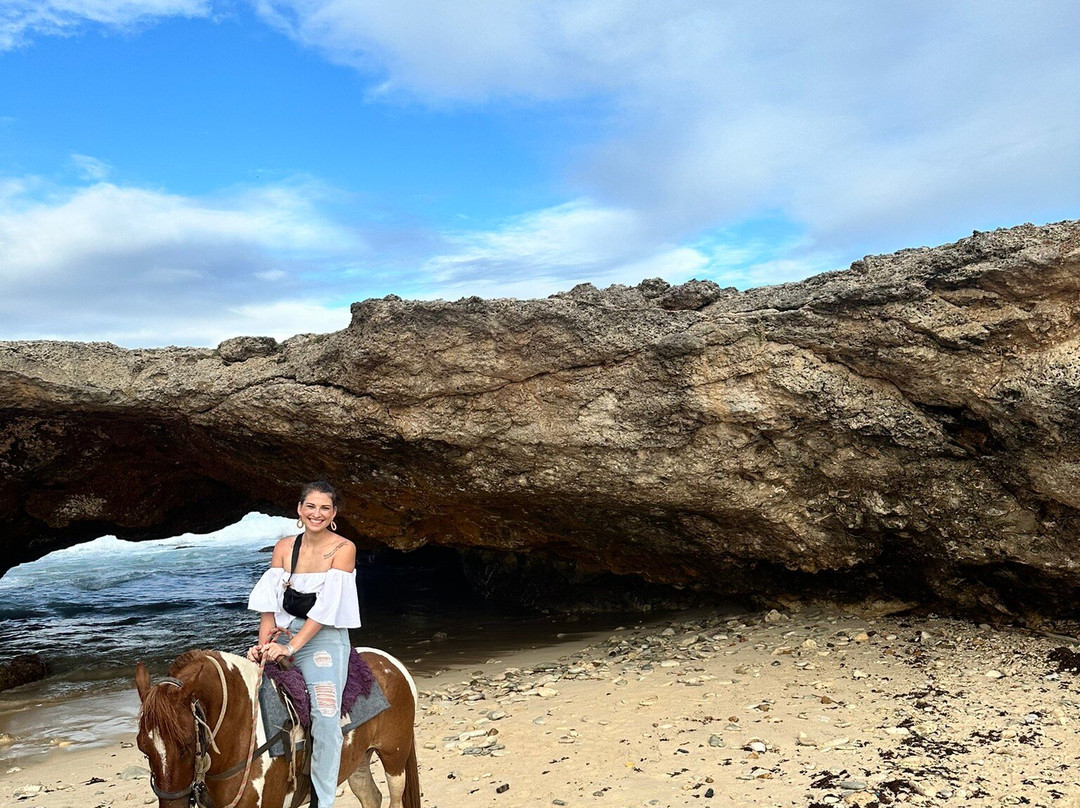 ArubaHorseTour-Paradera必去景点