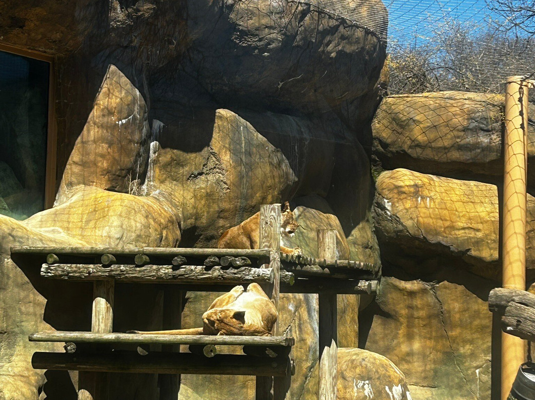 Erie Zoo-伊利必去景点