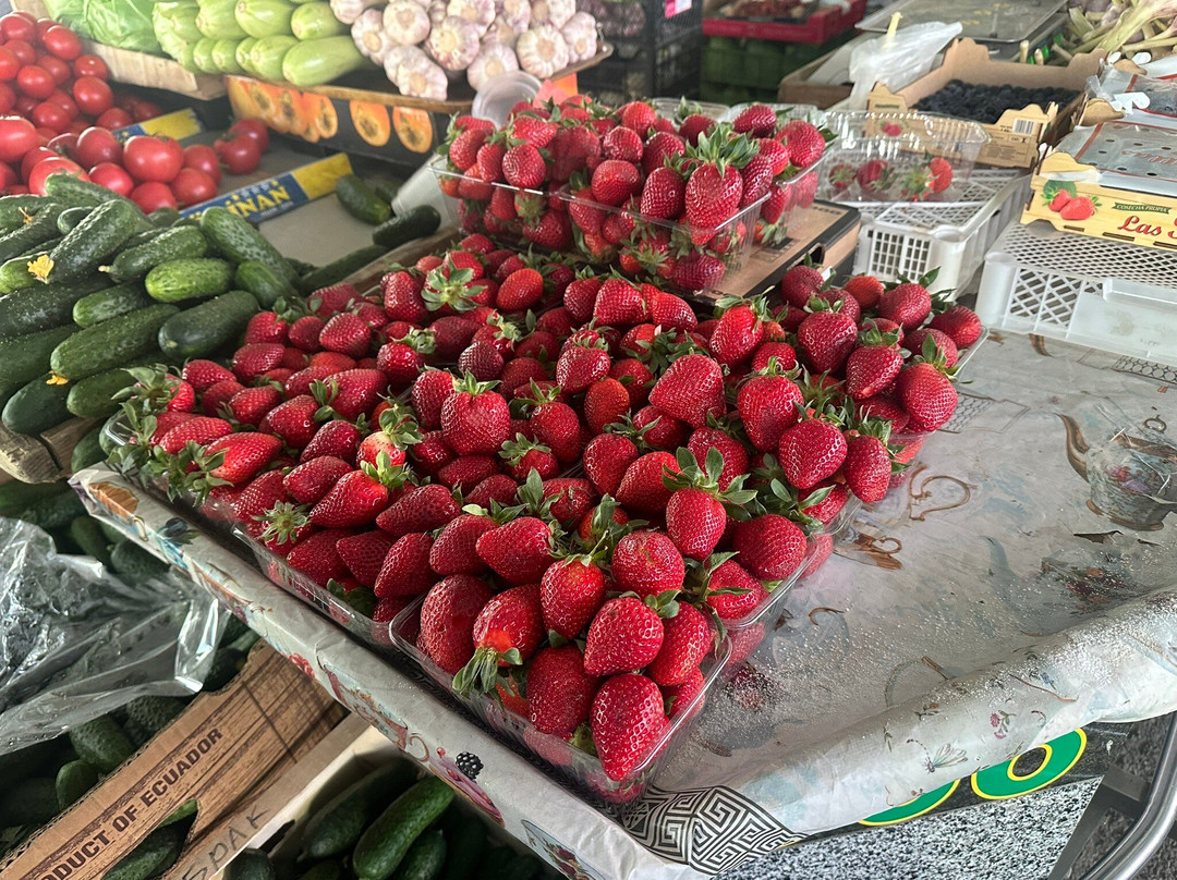 Green Market Center-Tiraspol必去景点