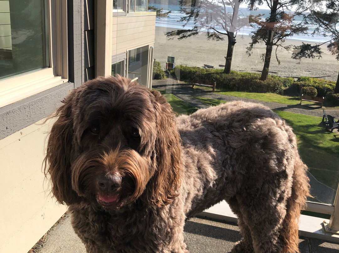 Pacific Sands Beach Resort主图