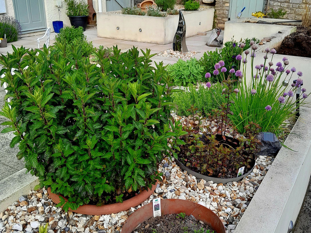Jekka's Herb Farm景点图片