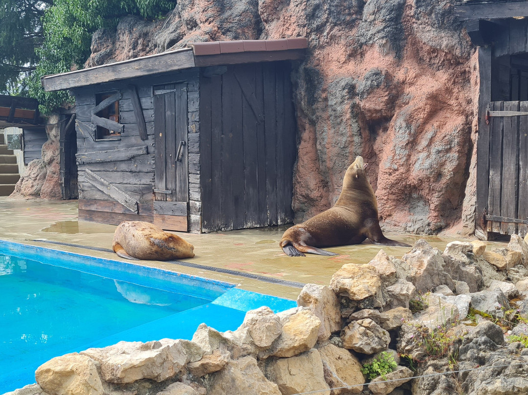 帕西拉温泉别墅公寓主图