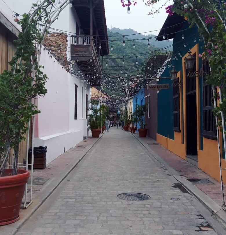 Calle Bolivar景点图片