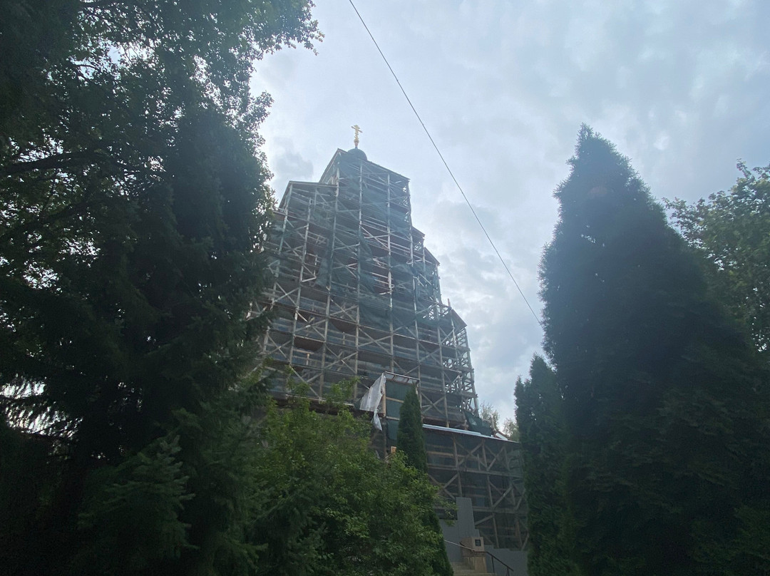 Cathedral of Vladimir Icon of Our Lady景点图片