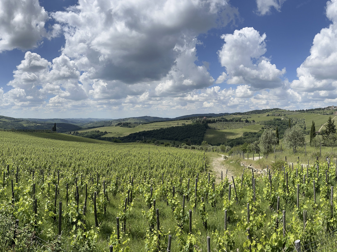 All Around Tuscany-锡耶纳必去景点