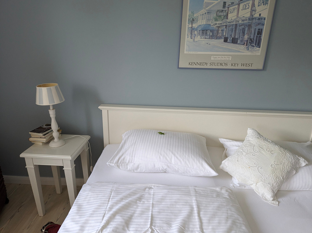 Landhotel Seelust主图