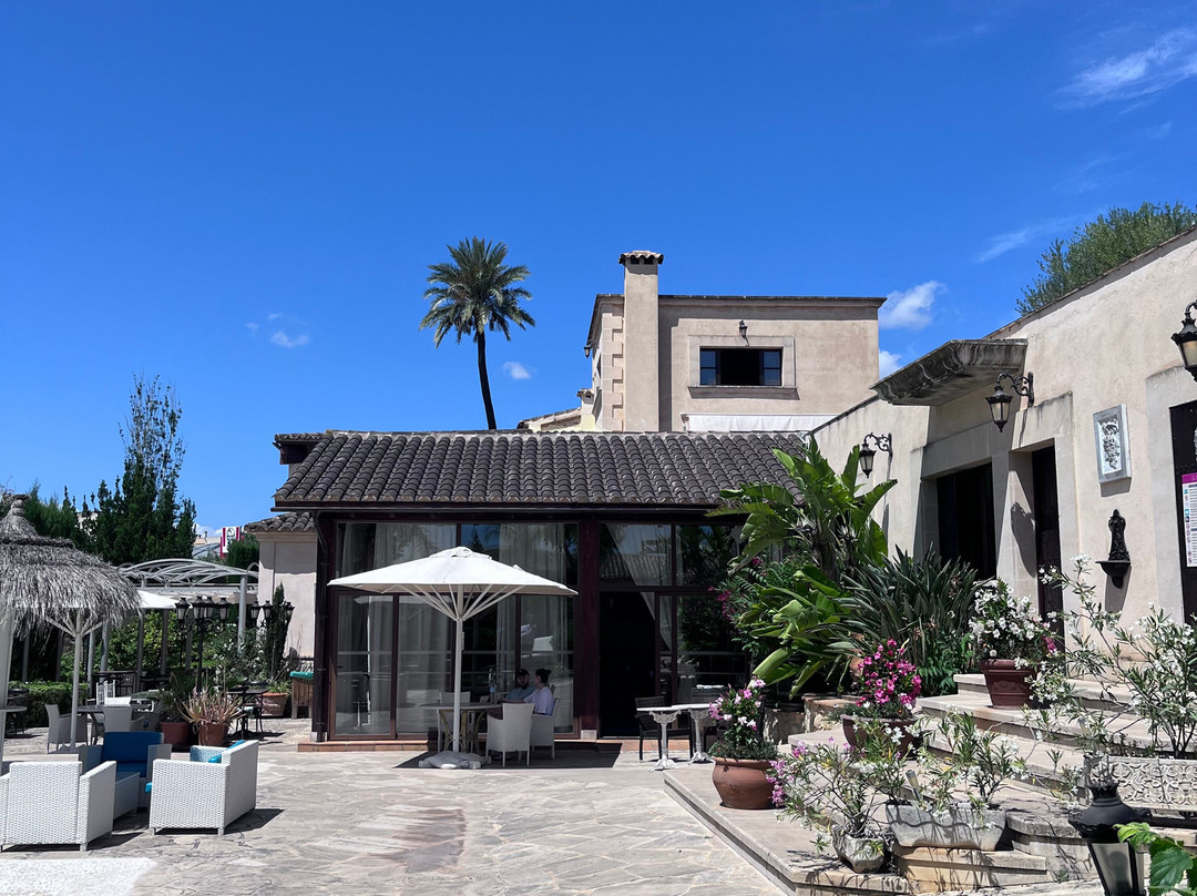 Sa Vinya des Convent Agroturismo主图