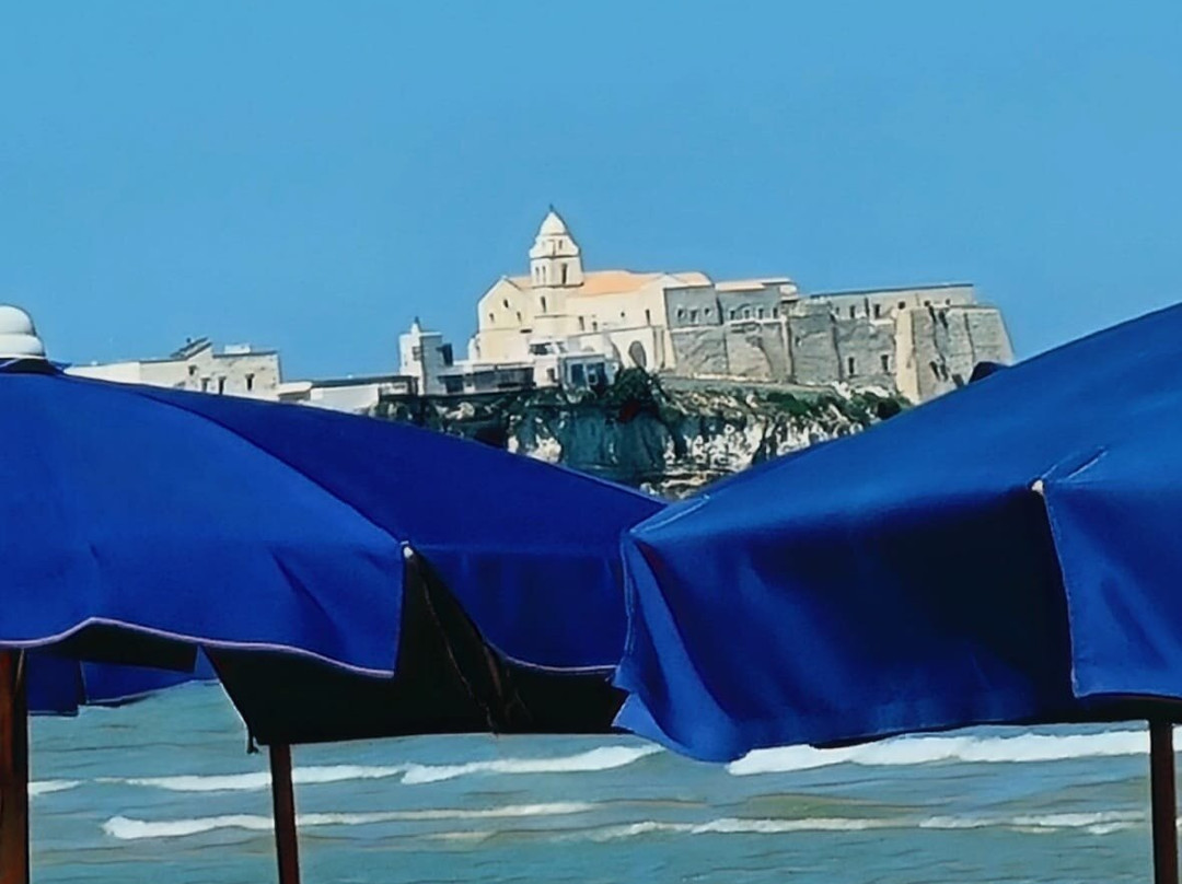 Pizzomunno Vieste Palace Hotel主图