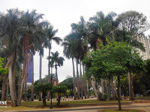 Praca Napoleao Moreira da Silva-Maringa必去景点