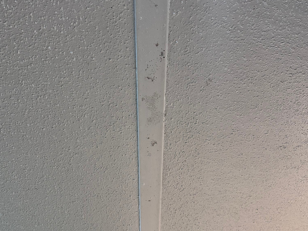 Country Plaza Motor Inn主图