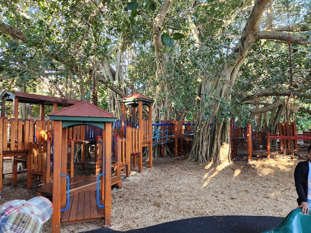 New Farm Park-布里斯班必去景点