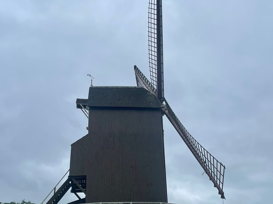 Windmills of Bruges景点图片