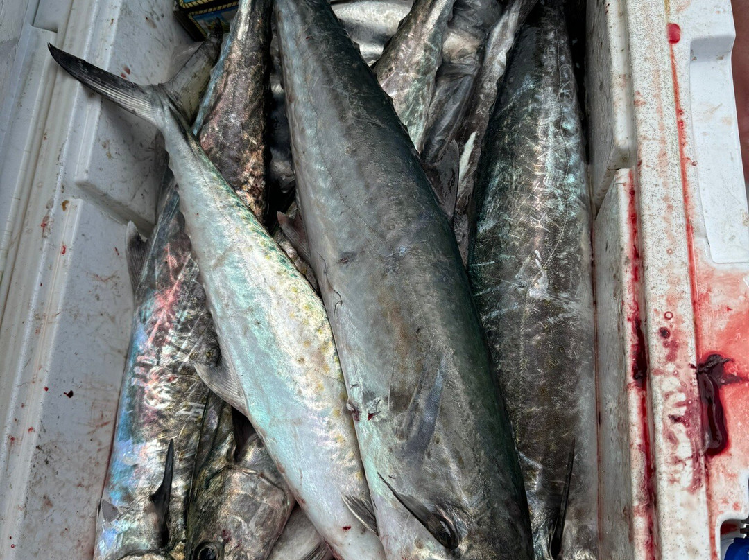 Bounty Of The Bay Charters景点图片