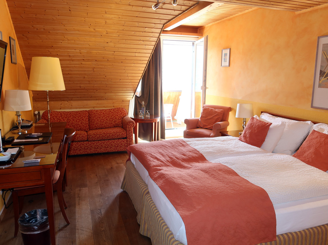 Hotel Silberhorn AG主图