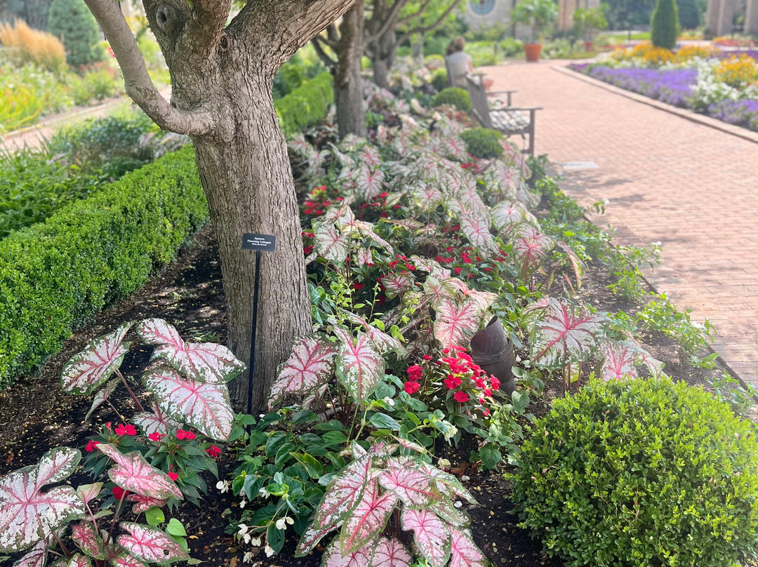 The Ewing and Muriel Kauffman Memorial Garden-堪萨斯城必去景点