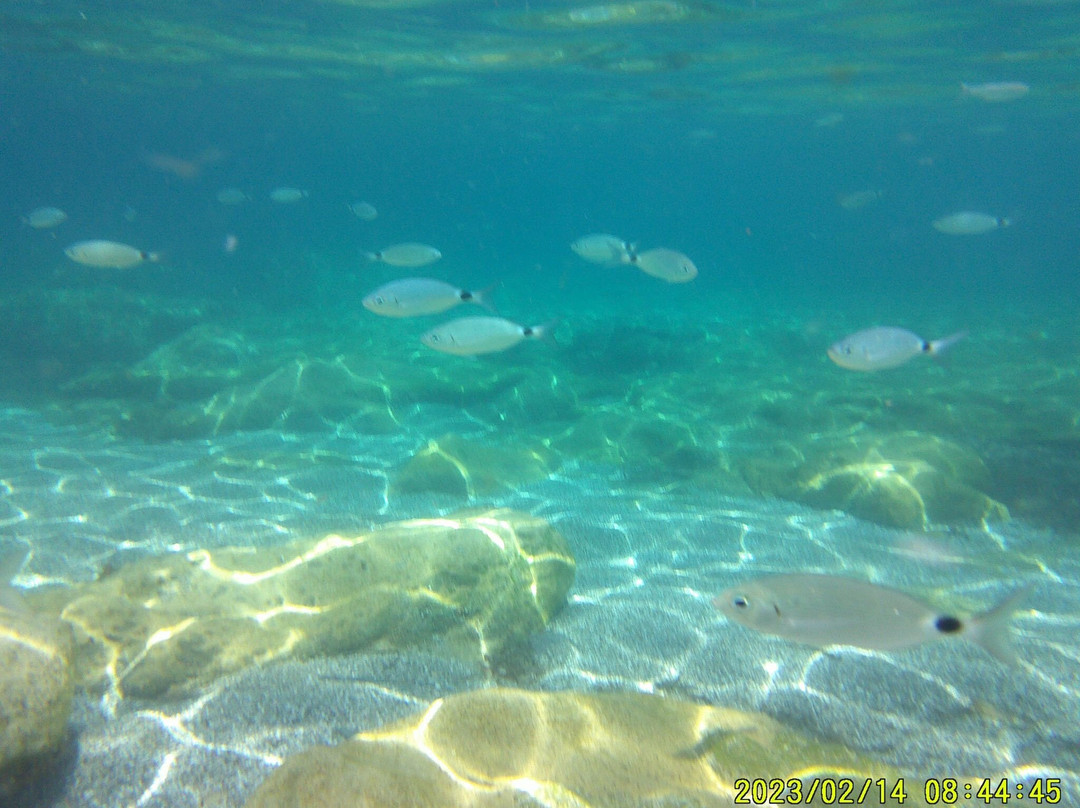 Spiaggia di Argentiera-萨萨里省必去景点
