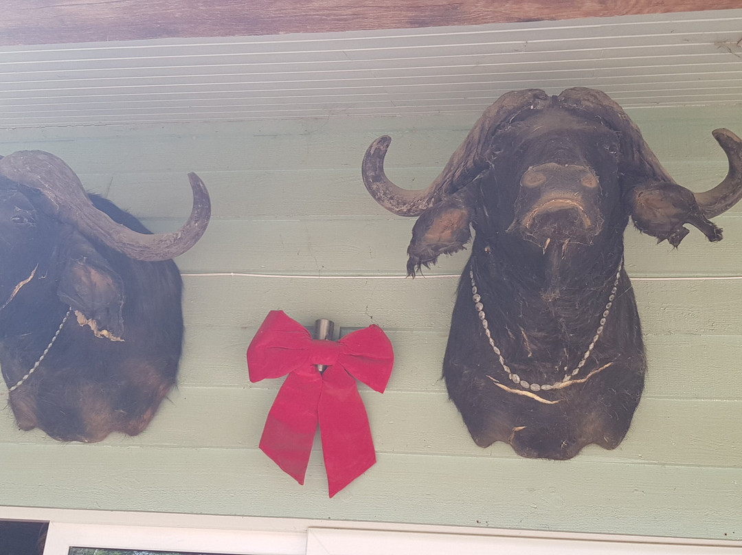 The Wild Pig Farm Shop景点图片