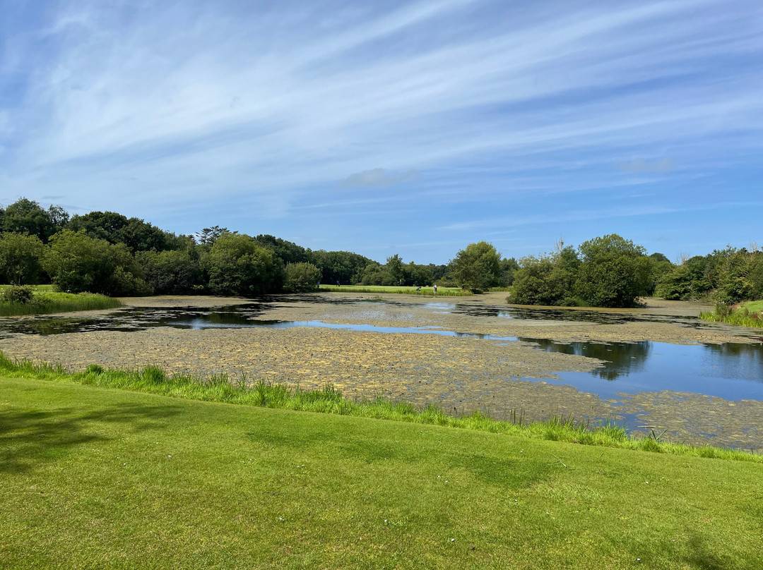 Gracehill Golf Course景点图片
