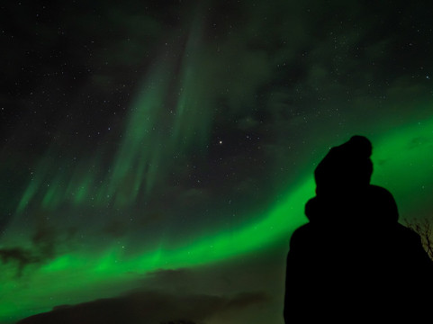 Blue Puffin - Tromso Experiences-特罗姆瑟必去景点