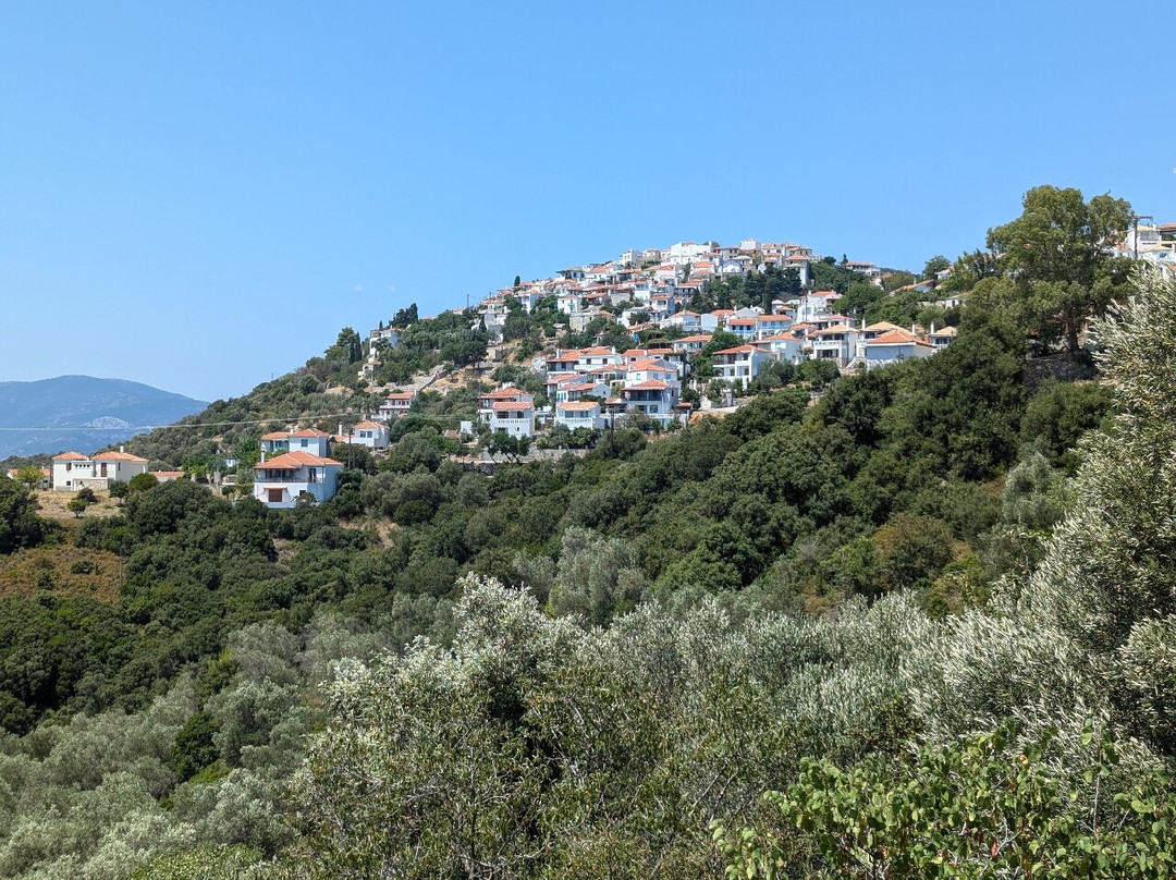 Konstantina Studios主图