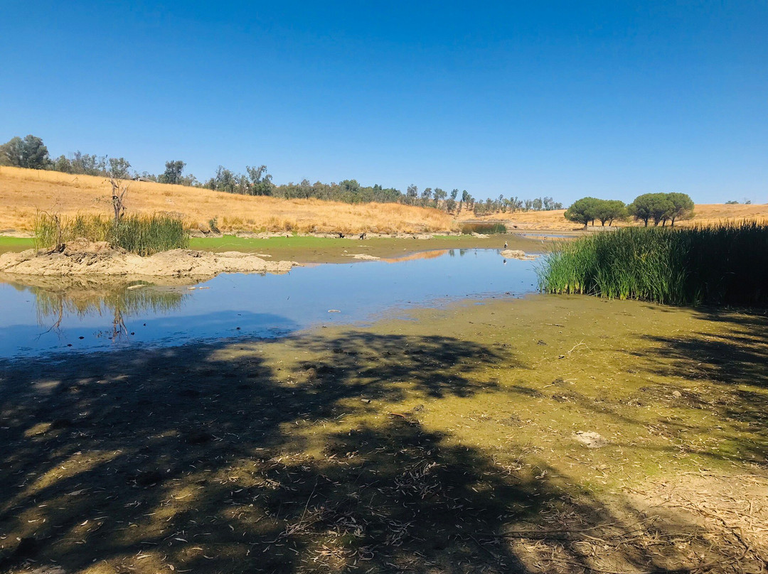 Parque Reserva Natural Las Quinientas-Berlanga必去景点