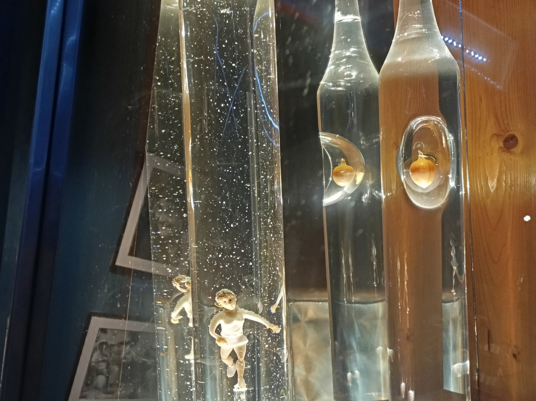 Musee de l'alambic - Distillerie Jean Gauthier景点图片