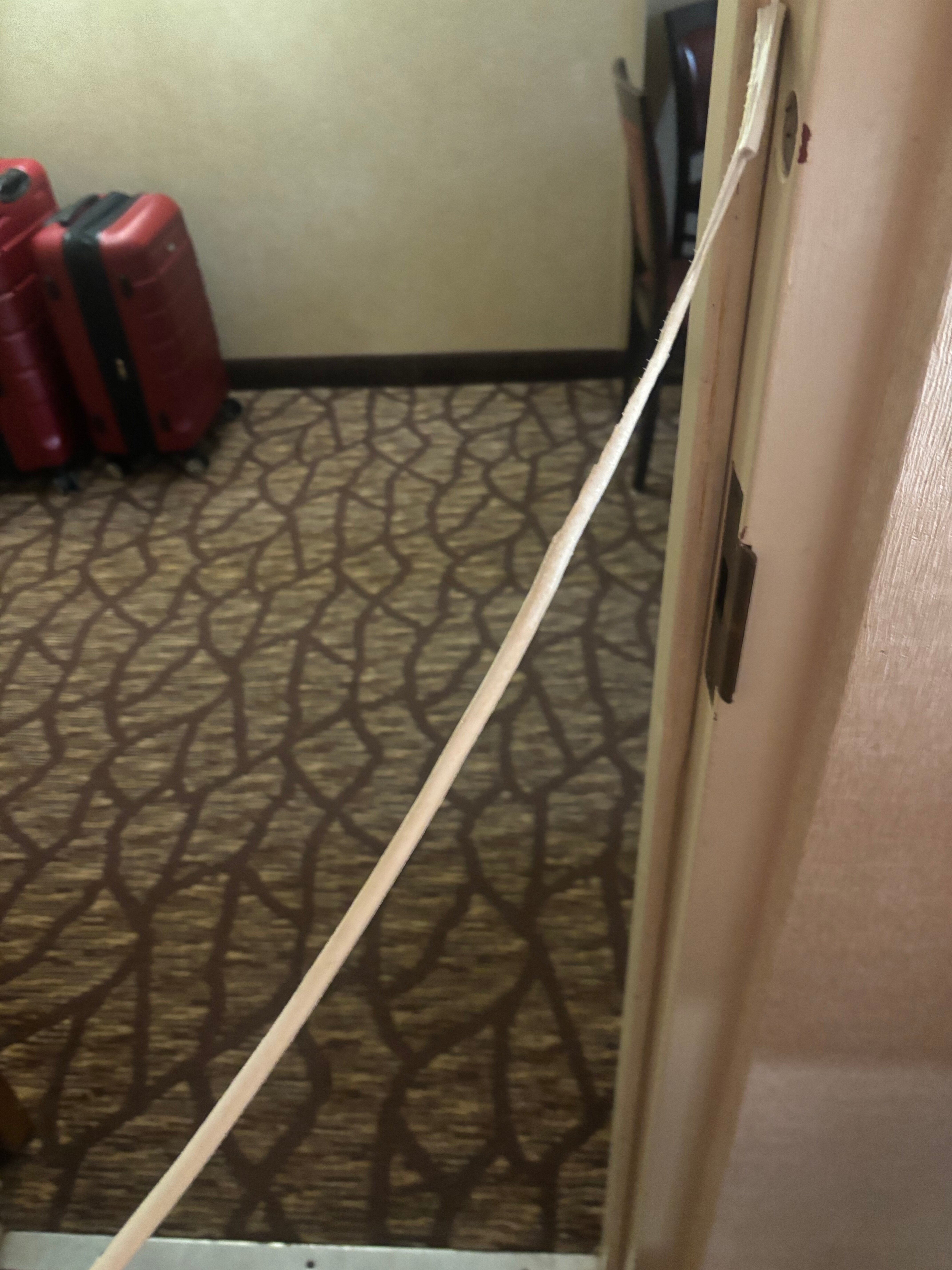DoubleTree by Hilton Hotel Johnson City-客卧