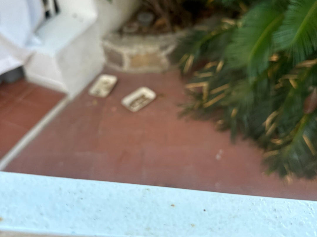 拉皮萨酒店主图