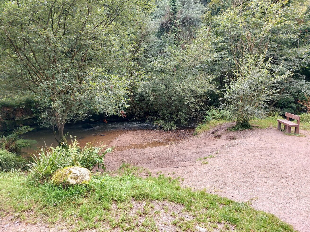 Luxulyan Valley Circular Walk景点图片