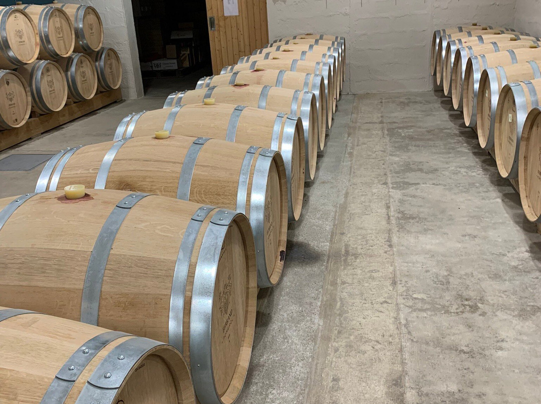 Chateau de Ferrand-圣埃美隆必去景点