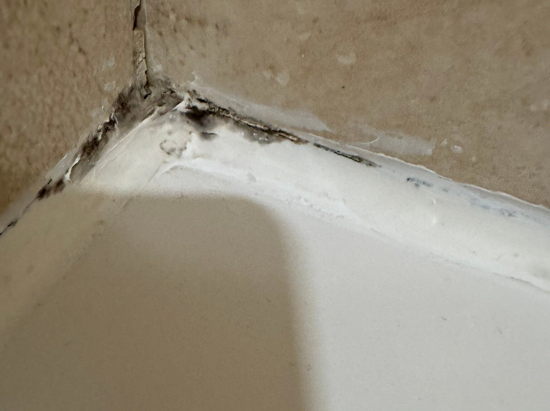 奥塔伊谷PLUS贝斯特韦斯特酒店主图