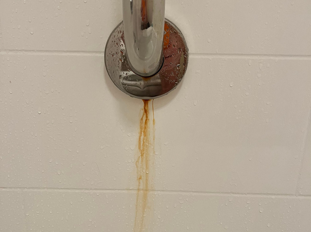 Best Western Newport Inn主图