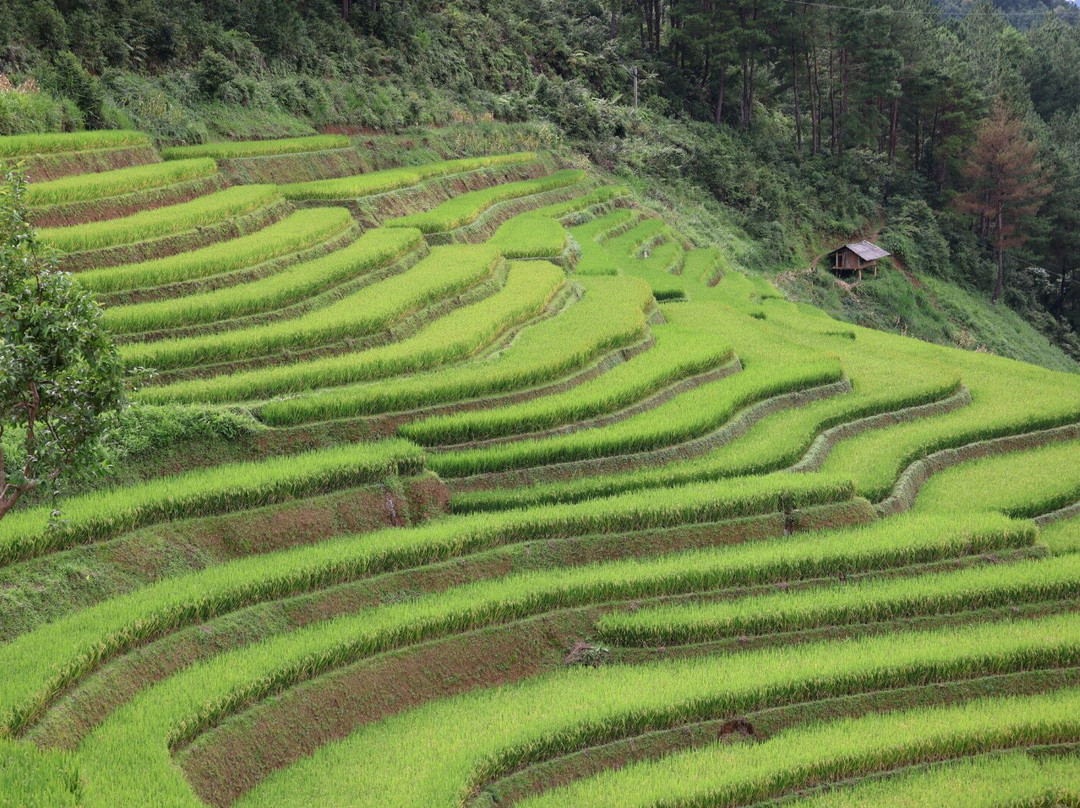 Trekking Tour Mu Cang Chai-Mu Cang Chai必去景点