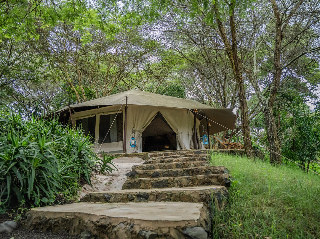 Dolly Farm & River Camp, Luxury Tents