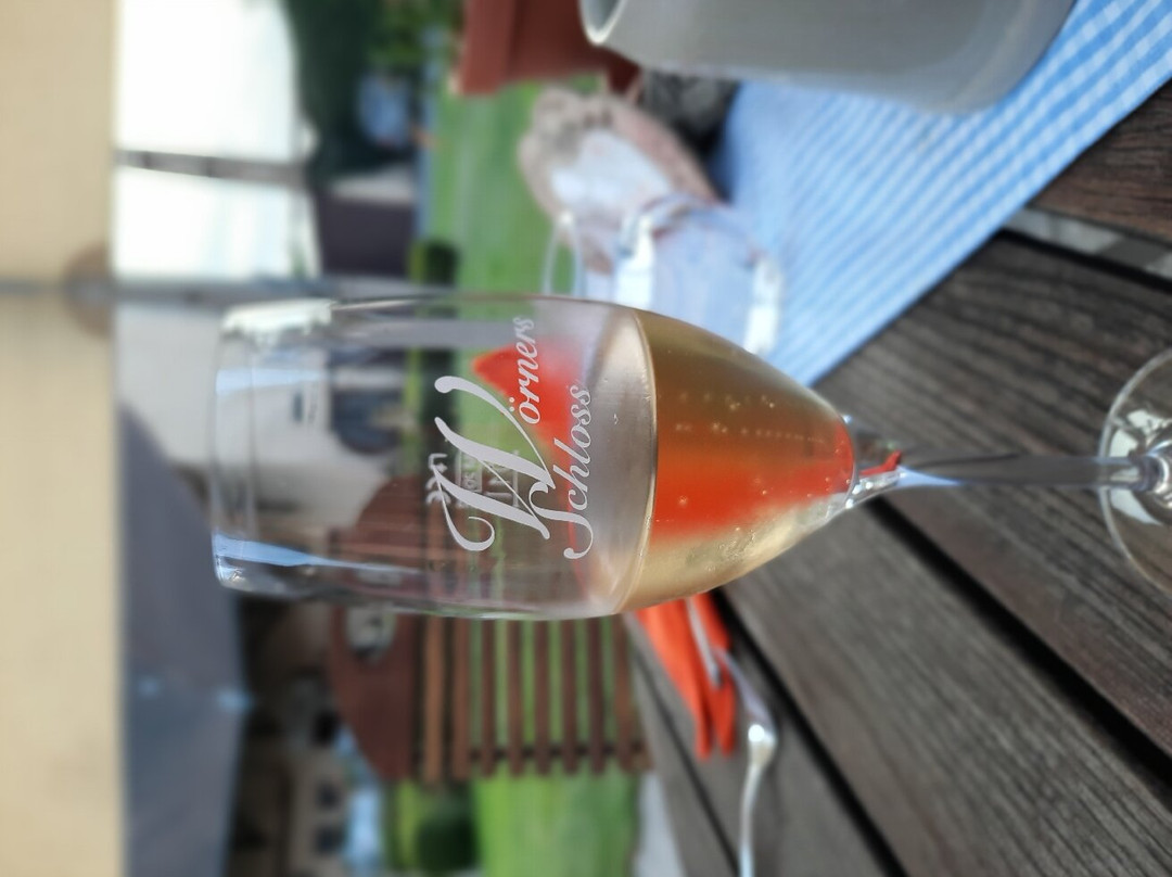 Worners Schloss Weingut & Wellness-Hotel & Restaurant主图