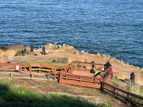 La Jolla Legendary Tours-拉荷亚必去景点