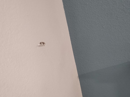 Americas Best Value Inn Houston Hobby Airport主图