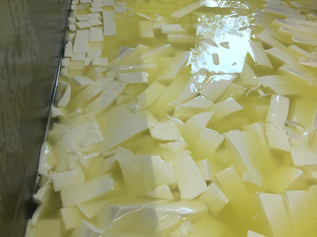 Lacey's Cheese景点图片