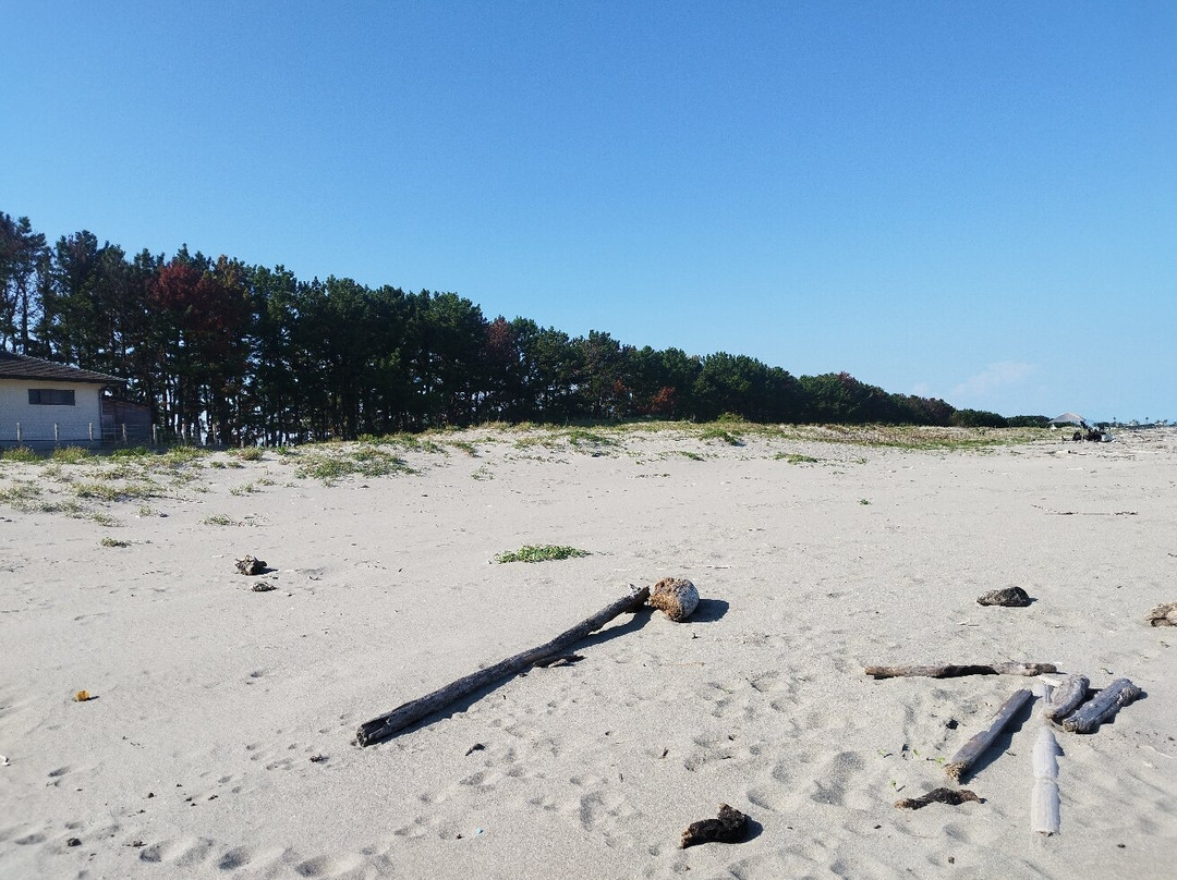 Sagara Beach-牧之原市必去景点